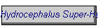 Hydrocephalus Super-Heroes